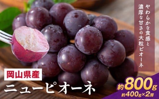 【2026年先行予約】 岡山県産 ニューピオーネ詰合せ 選べる 計 800g 株式会社はちや《2026年8月下旬‐9月下旬頃出荷》岡山県 浅口市 ぶどう 葡萄 フルーツ ギフト 果物 デザート 国産 【配送不