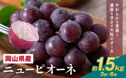 【2026年先行予約】 岡山県産 ニューピオーネ詰合せ 選べる 計 1.5kg 株式会社はちや《2026年8月下旬‐9月下旬頃出荷》岡山県 浅口市 ぶどう 葡萄 フルーツ ギフト 果物 デザート 国産 【配送不