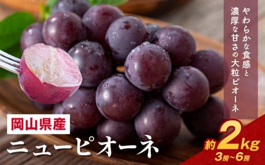【2026年先行予約】 岡山県産 ニューピオーネ詰合せ 選べる 計 2kg 株式会社はちや《2026年8月下旬‐9月下旬頃出荷》岡山県 浅口市 ぶどう 葡萄 フルーツ ギフト 果物 デザート 国産 【配送不