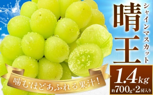 【2026年先行予約】ぶどう シャインマスカット 晴王 約1.4kg (約700g×2房入り) 満天フルーツ《2026年9月上旬-10月末頃出荷》岡山県 浅口市  マスカット フルーツ 果物 お取り寄せフルーツ 贈り物