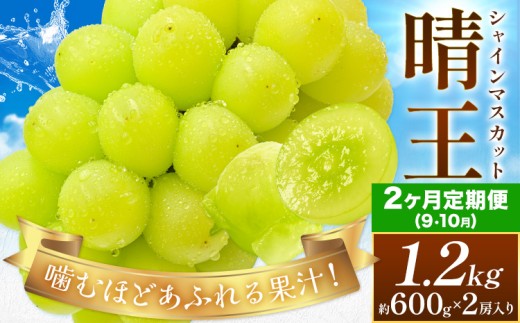 y2026Ns\zy2ցzԂǂ VC}XJbg  1.2kg(600g×2[)×2 Vt[cs2026N9{-10oׁtR s }XJbg t[c