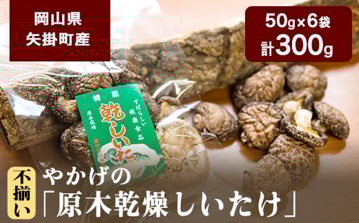 9. やかげの「原木乾燥しいたけ」 不揃い 備中南森林組合 岡山県矢掛産《60日以内に出荷予定(土日祝除く)》岡山県矢掛町11500調味料・油だし