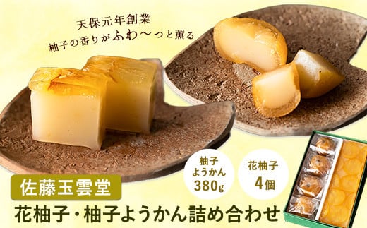 25. 花柚子・柚子ようかん詰め合わせ 佐藤玉雲堂 《30日以内に出荷予定(土日祝除く)》岡山県矢掛町 柚子 ようかん 和菓子 スイーツ デザート岡山県矢掛町12000菓子・スイーツ饅頭・羊羹・大