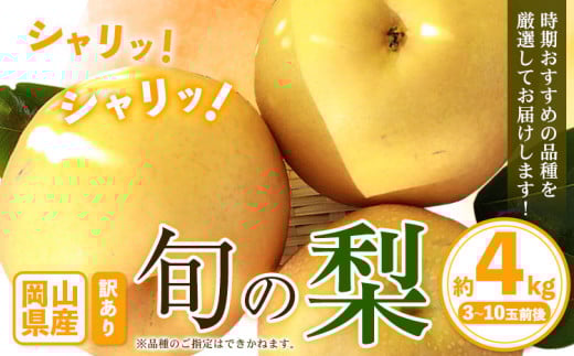 【先行予約】訳あり 岡山県産 旬の梨 約4kg 3〜10玉前後 梨 訳あり 優品 新高 愛宕 王秋梨 鴨梨 スイーツ フルーツ デザート 旬 岡山県矢掛町《9月上旬-1月末頃に出荷予定》数量限定岡山県矢