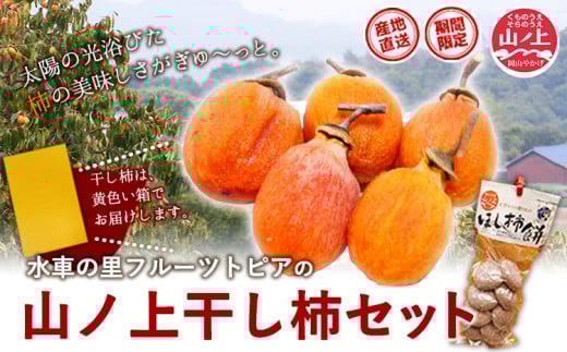 28.【先行予約】 山ノ上 干し柿 セット 《12月上旬-12月末頃出荷》 水車の里フルーツトピア 岡山県 矢掛町 柿 果物 フルーツ 干柿餅岡山県矢掛町25500果物・フルーツその他 果物・フルーツ