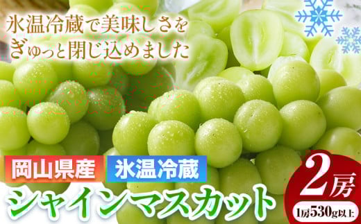 239.【2025年出荷先行予約】岡山県産 冷蔵 シャインマスカット 2房 (530g以上) 【配送不可地域あり】 《11月中旬-12月末頃に出荷予定(土日祝除く)》 岡山県 矢掛町 マスカット ぶどう 葡萄 氷温