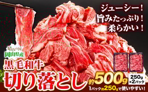 牛肉 黒毛和牛 切り落とし 500g 《30日以内に出荷予定(土日祝除く)》 岡山県 矢掛町 牛 牛肉 和牛 牛丼 カレー 小分け 小分けパック 250g  一万 一万円 10000円岡山県矢掛町9000肉牛肉