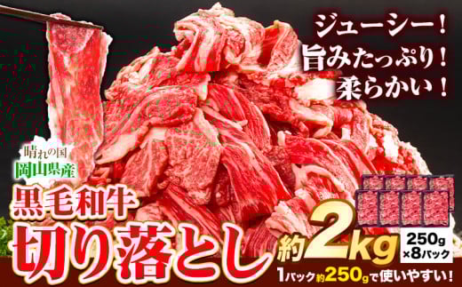牛肉 黒毛和牛 切り落とし 2kg 《30日以内に出荷予定(土日祝除く)》 岡山県 矢掛町 牛 牛肉 和牛 牛丼 カレー 小分け 小分けパック 250g 岡山県矢掛町25000肉牛肉