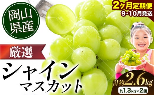【2026年発送先行予約】厳選 シャインマスカット 2か月 定期便 1.3kg 2回発送 計約2.6kg 《2026年9月上旬-11月中旬頃出荷》 ぶどう マスカット フルーツ 果物 岡山 厳選 シャインマスカット 晴王