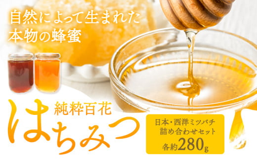 純粋百花 はちみつ 日本ミツバチ 西洋ミツバチ 有限会社ホクト 《30日以内に出荷予定(土日祝除く)》岡山県 矢掛町 はちみつ ハチミツ トースト 蜂蜜岡山県矢掛町19500鍋セット・総菜・加工