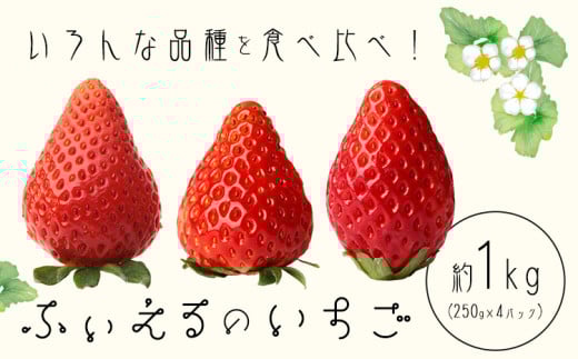 いちご 章姫 晴苺 紅ほっぺ 約1kg(約250g×4P) ふぃえる《1月上旬〜4月中旬頃出荷予定》岡山県 矢掛町産 苺 果物 フルーツ ふぃえる岡山県矢掛町17500果物・フルーツいちご