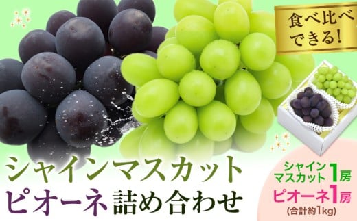 y2026Ns\zVC}XJbgEsI[llߍ킹 1.0kg }XJbg  uhE Ԃǂ sI[l t[c Zbg ̍܊ s2026N8{-9{oׁt t