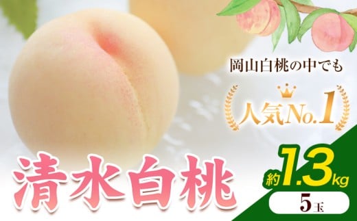【2026年発送先行予約】清水白桃 5玉 1.3kg 内容量 晴れの国おかやま館《2026年7月下旬-8月上旬頃出荷》 白桃 フルーツ 果物 岡山県 矢掛町 桃 モモ もも 岡山県矢掛町26000果物・フルーツその他
