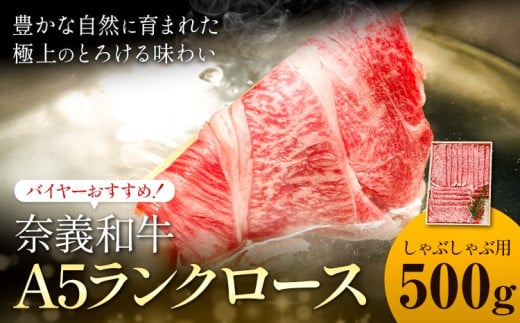 奈義和牛 A5ランクロース バイヤーおすすめ! しゃぶしゃぶ用 500g 株式会社 天満屋《30日以内に出荷予定(土日祝除く)》岡山県 矢掛町 和牛 牛肉 肉 A5ランク しゃぶしゃぶ 岡山県矢掛町36000肉