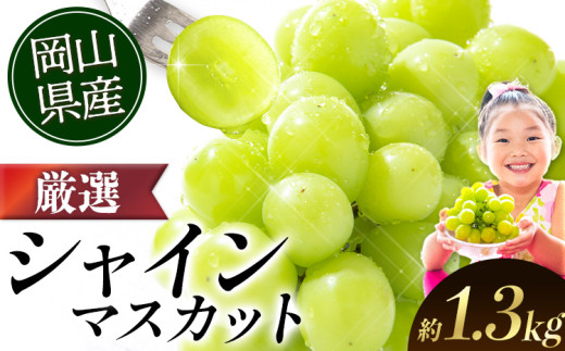 シャインマスカット【2026年出荷先行予約】 ランキング入賞! 厳選 シャインマスカット 約1.3kg (2-3房)《2026年9月上旬-11月中旬頃に出荷予定》ぶどう 種なし ぶどう 岡山 ぶどう 先行予約 ぶど