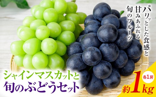 【2026年発送】シャインマスカット ぶどう 岡山県産 シャインマスカットと旬のぶどうセット 約1kg 2房 Grapes garden goat《2026年8月中旬〜10月上旬頃に出荷予定(土日祝除く)》岡山県矢掛町 葡萄