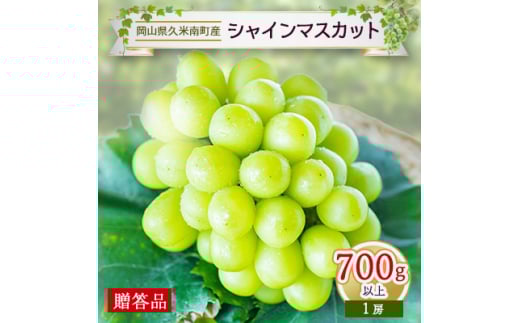 久米南シャインマスカット700g以上(1房)<贈答品>【1016879】岡山県久米南町16000果物・フルーツマスカット・ぶどう