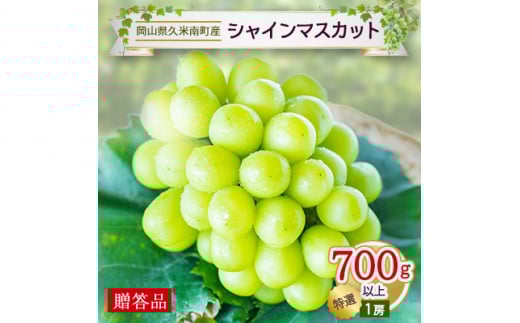 久米南シャインマスカット「特選」700g以上(1房)<贈答用>【1040064】岡山県久米南町22000果物・フルーツマスカット・ぶどう