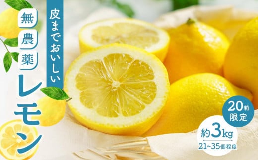 【20箱限定】皮まで美味しい無農薬レモン 約3kg【瀬戸田 瀬戸田レモン 檸檬 瀬戸内レモン フルーツ 柑橘 シトラス 無農薬 有機肥料 防腐剤不使用 レモネード はちみつ 尾道市 広島】広島県