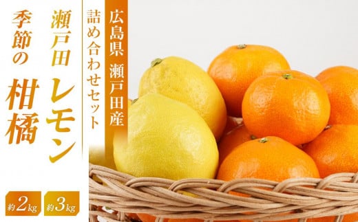 瀬戸田レモン3kgと季節の柑橘2kg<2025年11月下旬より発送開始>【みかん レモン 檸檬  果物 フルーツ 詰め合わせ セット 人気 おすすめ 瀬戸内 広島県  尾道市】広島県尾道市21000果物・