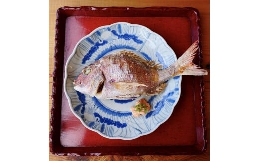 慶事用 特大 鯛の浜焼き 一尾入【たい 天然 真鯛 魚 魚介 ギフト お食い初め 郷土料理 尾道】広島県尾道市60000魚介・海産物鮮魚