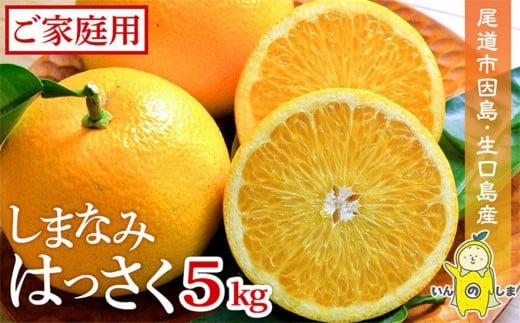 ܂Ȃ݂͂  ƒp 5kgisEYjy2026N2{甭zLs11000ʕEt[c݂Ek