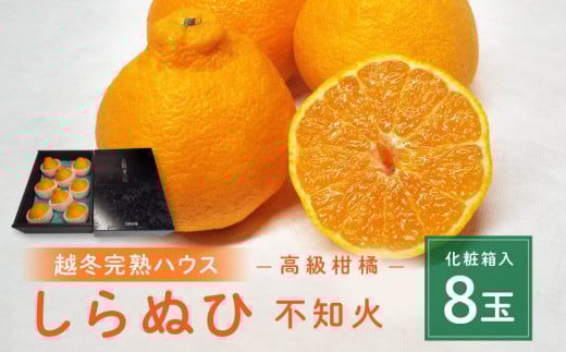 高級柑橘 贈答用 越冬完熟ハウスしらぬひ(不知火)化粧箱8玉【みかん 不知火 柑橘 果物 フルーツ 産地直送 人気 おすすめ 瀬戸内 広島県  尾道市】広島県尾道市24000果物・フルーツみかん