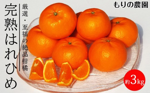 はれひめ「みかんの甘み」と「オレンジの香り」の新品種!3kg【もりの農園 柑橘 果物 フルーツ 人気 おすすめ 瀬戸内 広島県  尾道市】広島県尾道市10000果物・フルーツみかん・柑橘類