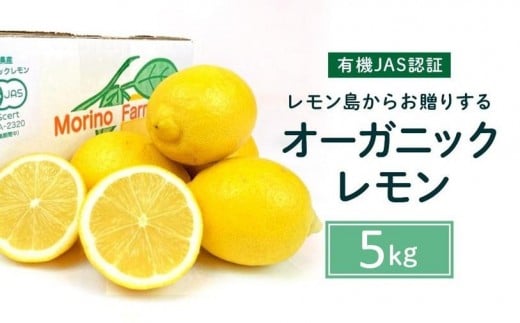 【有機JAS認証】レモン島からお贈りするオーガニックレモン 5kg 有機レモン 2026年2月以降発送予定 産直 国産 有機栽培広島県尾道市23000果物・フルーツみかん・柑橘類