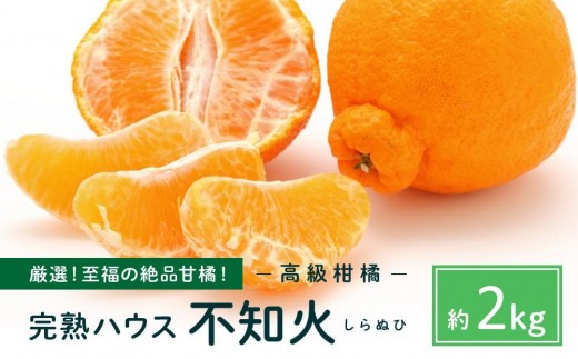 越冬完熟しらぬひ 2kg 2026年3月上旬〜発送予定【みかん 不知火 しらぬい 柑橘 果物 フルーツ 産地直送 人気 おすすめ 瀬戸内 広島県  尾道市】広島県尾道市13000果物・フルーツみかん・柑橘類