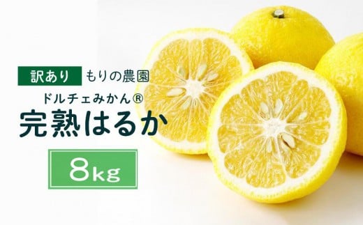 【訳あり】完熟はるか 8kg ドルチェみかん 2026年2月中旬より発送予定広島県尾道市17000果物・フルーツみかん・柑橘類