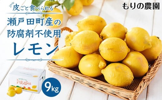 【レモン島から贈る】安心の国産レモン9kg 2026年1月15日より順次発送【瀬戸田 瀬戸田レモン 産地直送 フルーツ 檸檬 ノーワックス 防腐剤 防かび剤不使用】広島県尾道市28000果物・フルーツ
