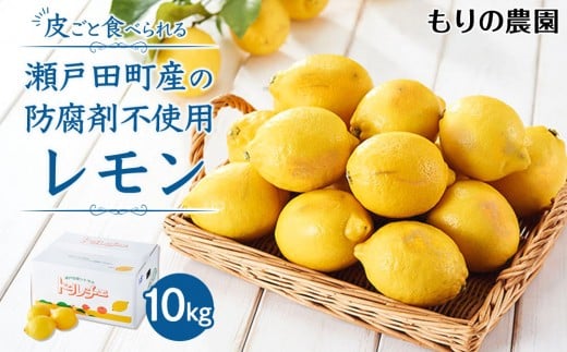 【レモン島から贈る】安心の国産レモン10kg 2026年1月15日より順次発送【瀬戸田 瀬戸田レモン 産地直送 フルーツ 檸檬 ノーワックス 防腐剤 防かび剤不使用】広島県尾道市31000果物・フルーツ