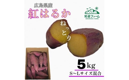 生芋(紅はるか) 5kg(サイズS〜L混合)広島県尾道市12000野菜・きのこじゃがいも・イモ類