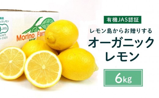 【有機JAS認証】レモン島からお贈りするオーガニックレモン 6kg 有機レモン 2026年2月以降発送予定 産直 国産 有機栽培広島県尾道市27000果物・フルーツみかん・柑橘類