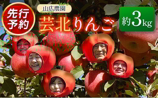 りんご 国産 3kg 農家直送 山広農園 芸北りんご 林檎 秋映 シナノスイート 陽光 ぐんま名月 王林 シナノゴールド ふじ_YA023_001広島県北広島町10000果物・フルーツりんご・梨