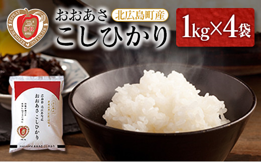 3-R  Ђ 1kg×4܍LkL11000āEp