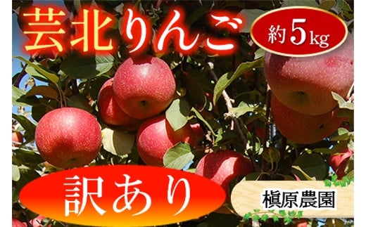 ≪10月中旬以降発送≫ りんご 訳あり ご家庭用 約5kg 槇原農園の芸北りんご 農家直送 シナノスイート ぐんま名月 シナノゴールド ふじ_MA077_002広島県北広島町10000果物・フルーツりんご・梨