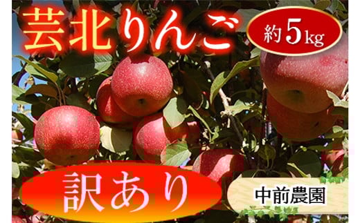 ≪10月中旬以降発送≫ りんご 訳あり ご家庭用 約5kg 中前農園の芸北りんご 農家直送 シナノスイート ぐんま名月 ジョナゴールド ふじ_NA099_002広島県北広島町10000果物・フルーツりんご・梨