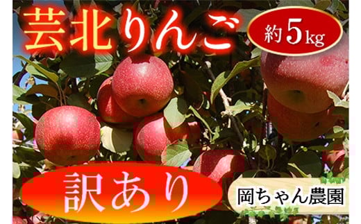 ≪10月中旬以降発送≫ りんご 訳あり ご家庭用 約5kg 岡ちゃん農園の芸北りんご 農家直送 夢つがる 秋映 とき すわっこ シナノスイート 陽光 ぐんま名月 シナノゴールド ふじ_OK066_003広島県北