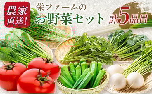 農家直送!栄ファームのお野菜セット広島県北広島町8000野菜・きのこその他 野菜
