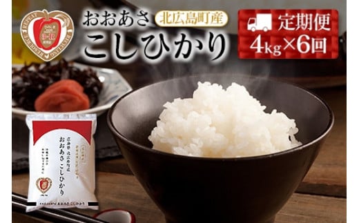 『定期便』3-R おおあさ こしひかり 1kg×4袋 全6回広島県北広島町66000米・パン白米