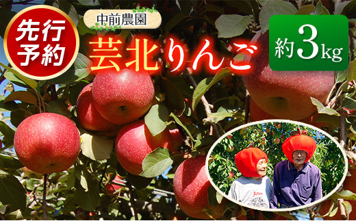 りんご 国産 3kg 農家直送 中前農園 芸北りんご 林檎 シナノスイート ぐんま名月 ジョナゴールド ふじ_NA099_001広島県北広島町10000果物・フルーツりんご・梨