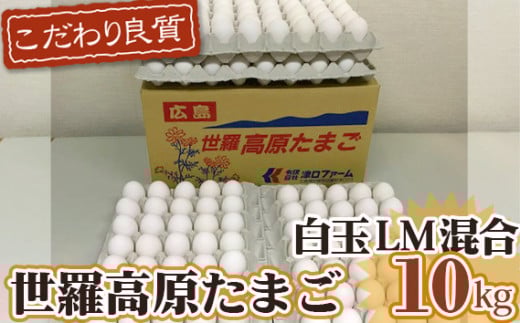 No.099 ܂@LM@10kg ^  ^}S VN LL13000Eii{AG{j