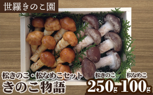 No.151 きのこ物語(松きのこ・松なめこセット) / キノコ ナメコ 常備菜 世羅ブランド品 広島県広島県世羅町26000野菜・きのこきのこ