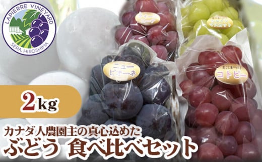 No.205 yJi_l_̐^S߂zԂǂHה׃Zbg2kg ^ ʕ t[c  uhE lߍ킹 LL27000ʕEt[c}XJbgEԂǂ