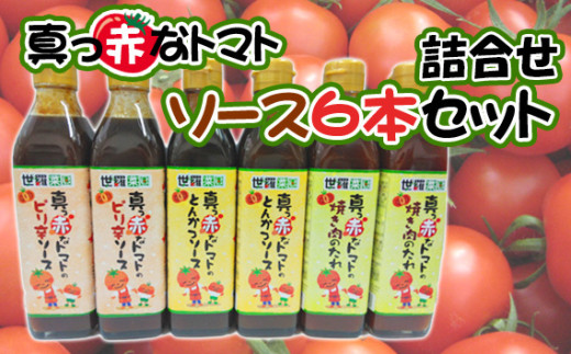 No.290 真っ赤なトマトソース6本詰合せセット / 調味料 ピリ辛 たれ とまと 酸味 世羅菜園 広島県広島県世羅町11000調味料・油その他 調味料・油