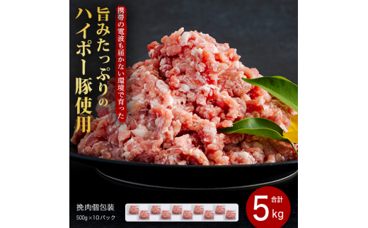 ؓ Y ؔғ 500g×10pbN Zbg | gт̓dg͂Ȃň|݂Ղ̃nC|[ Ђ ғ    zs:R27000ؓ