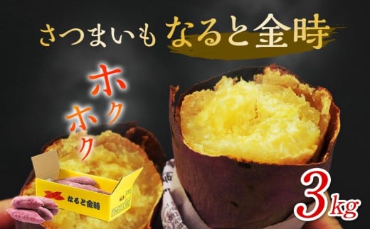 ȂƋ 3kg ܂  n Y XC[c Ă  Mtg 蕨 yY Tc}Cs9000؁ÊႪEC