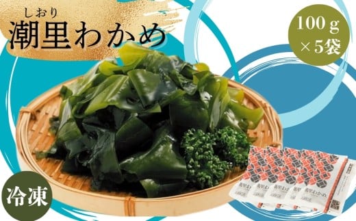 【農林水産大臣賞】 潮里わかめ 【塩分無添加】鳴門わかめ わかめ 国産 ブランド 人気 カット 冷凍  味噌汁 みそ汁 スープ 料理 ギフト徳島県鳴門市10000魚介・海産物のり・海藻